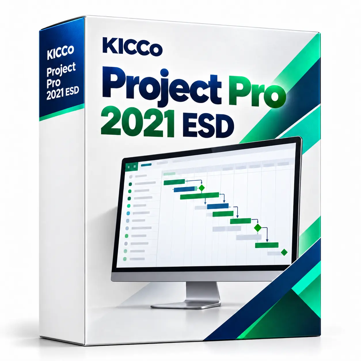 Project Pro 2021 ESD